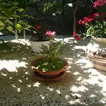Lejlighed Lile *