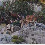 Lile Διαμέρισμα Trstenik (Dubrovnik-Neretva)
