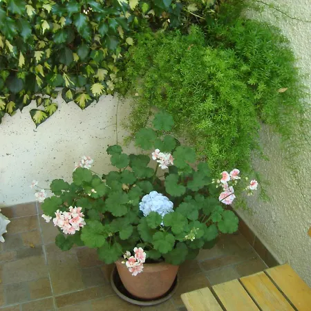 Lile * Trstenik (Dubrovnik-Neretva)