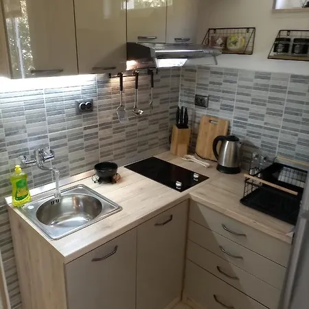 Apartment Lile *