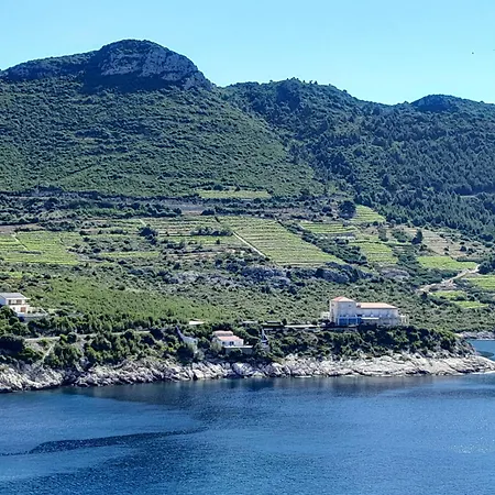 Апартаменты Lile